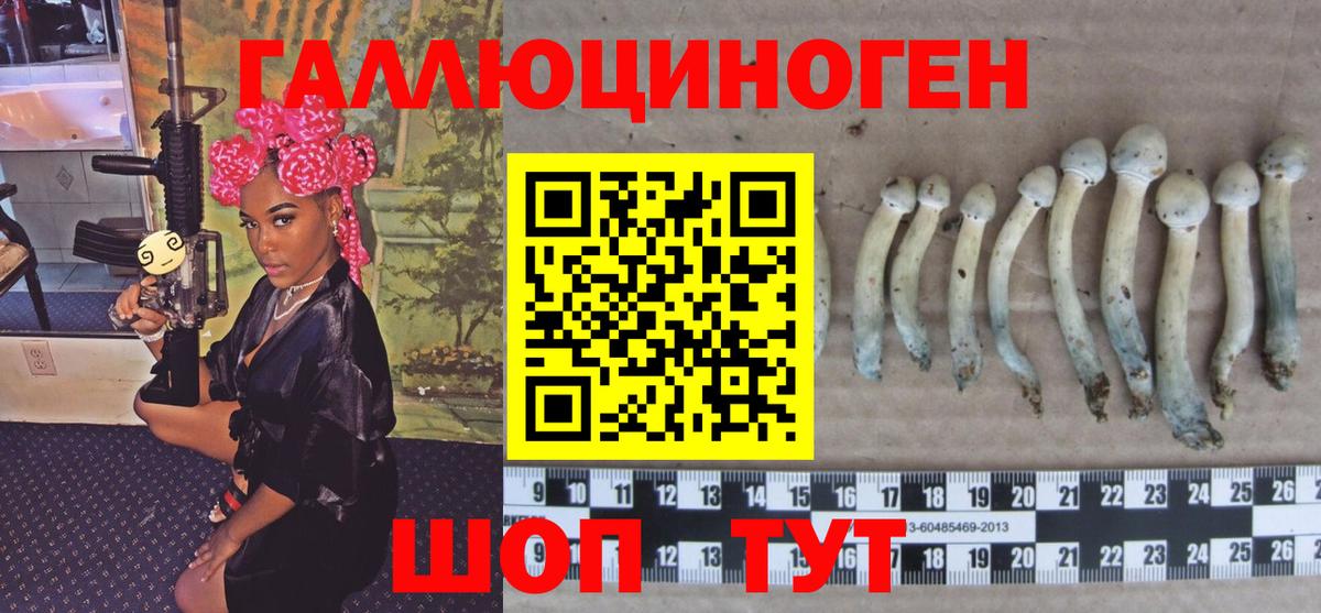 Псилоцибиновые грибы прущие грибы  Вход с VPN  Сафоново 